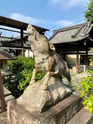 摩利支天堂 禅居庵の狛犬