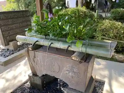 貫井神社(東京都)
