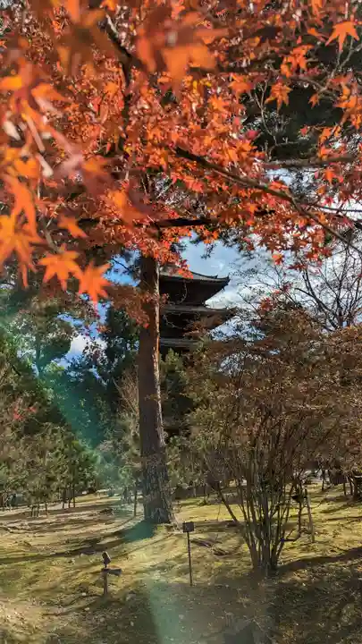 仁和寺(京都府)