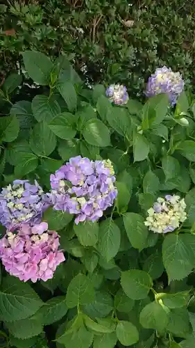 青林山　延命寺の周辺