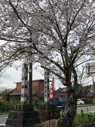照日神社の自然