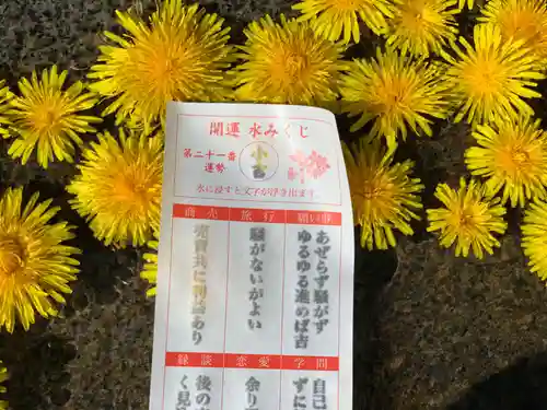 釧路一之宮 厳島神社のおみくじ