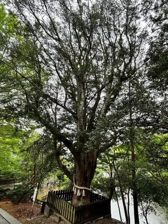 安房神社(千葉県)