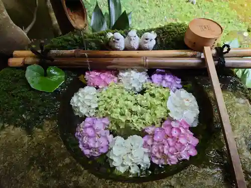 柳谷観音　楊谷寺の手水舎