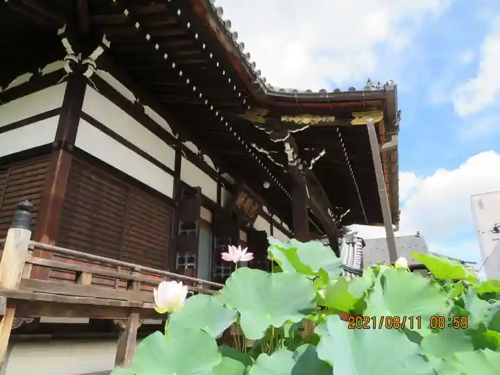 善導寺の本殿・本堂