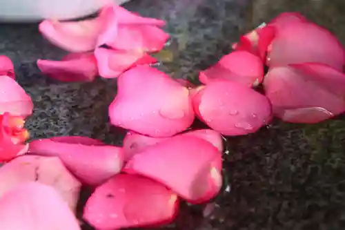 三津厳島神社の手水舎