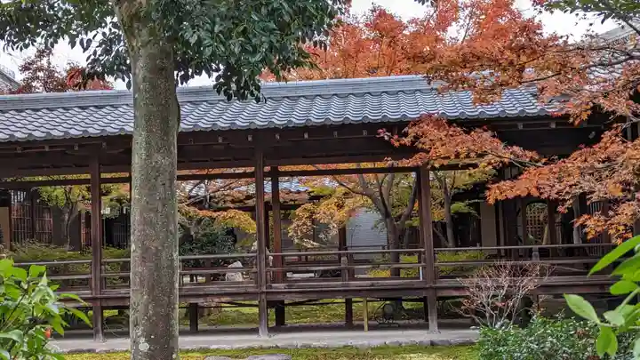 建仁寺(建仁禅寺)(京都府)