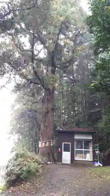 穴蔵神社(宮城県)