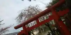 稗田野神社(薭田野神社)(京都府)