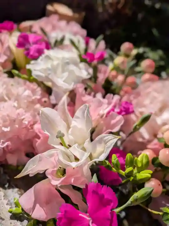 本郷氷川神社(東京都)