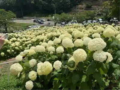 陽林寺(福島県)