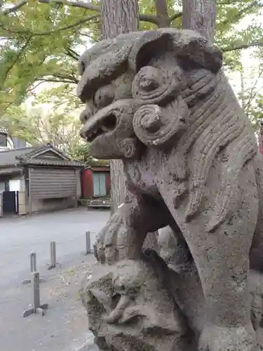 亀岡八幡宮（亀岡八幡神社）の狛犬