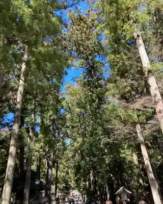 小國神社(静岡県)
