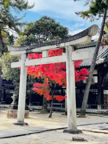 今宮神社の鳥居