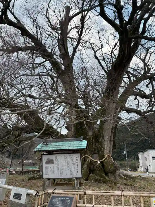 蟻無神社の自然