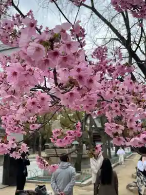湊川神社(兵庫県)