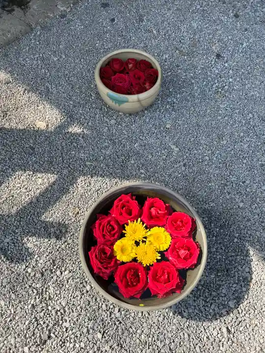 前玉神社(埼玉県)
