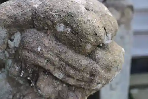 粟嶋神社の狛犬