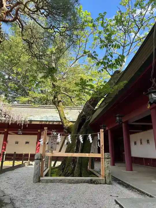 笠間稲荷神社(茨城県)