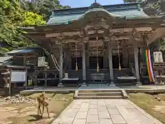 金華山黄金山神社(宮城県)