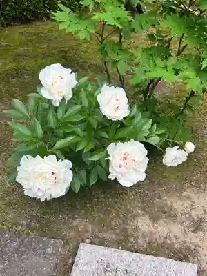 長壽寺（長寿寺）(神奈川県)