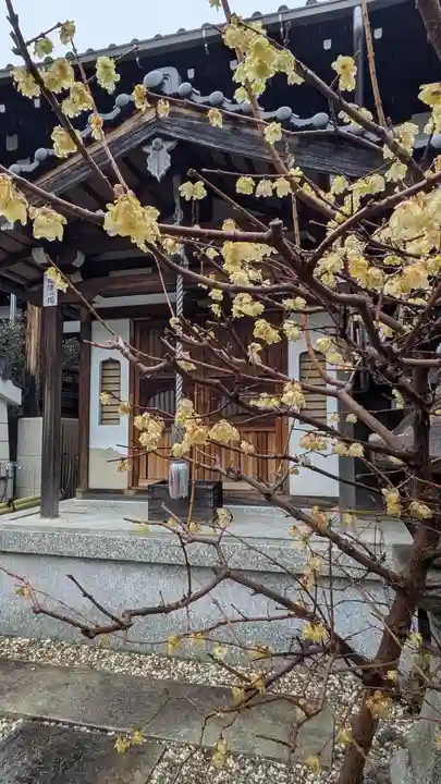慈眼寺(京都府)