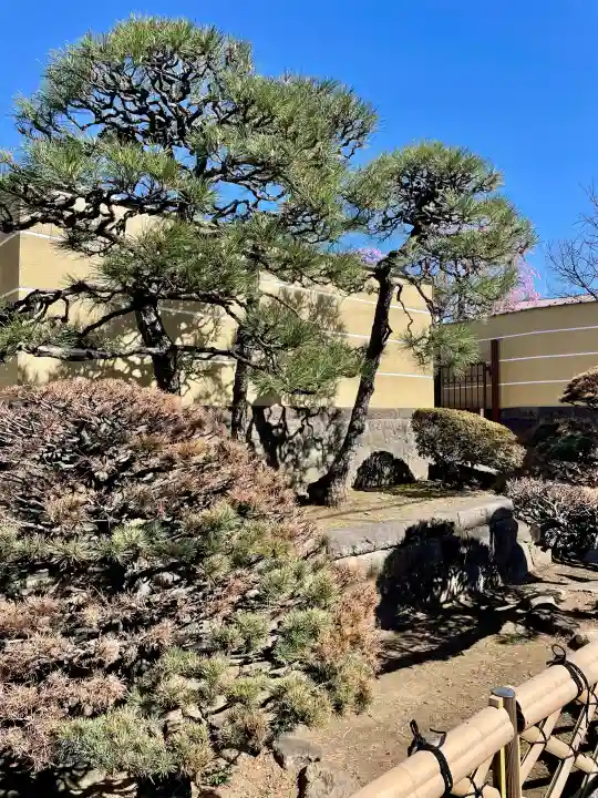 小日向 本法寺の{uncategorized: "未分類", other: "その他", undefined: "問題あり", building: "その他建物", grave: "お墓", sacred_gate: "鳥居", guardian: "狛犬", statue: "像", buddha: "仏像", history: "歴史", nature: "自然", garden: "庭園", animal: "動物", pagoda: "塔", temizu: "手水舎", mountain_gate: "山門・神門", sanctuary: "本殿・本堂", subordinate: "末社・摂社", art: "芸術", scenery: "景色", jizo: "地蔵", ema: "絵馬", goshuin: "御朱印", omikuji: "おみくじ", items: "授与品その他", amulet: "お守り", goshuincho: "御朱印帳", eats: "食事", festival: "お祭り", votive_dance: "神楽", shichigosan: "七五三参", wedding: "結婚式", experience: "体験その他", initially: "初詣", around: "周辺", anti_infection: "感染症対策"}