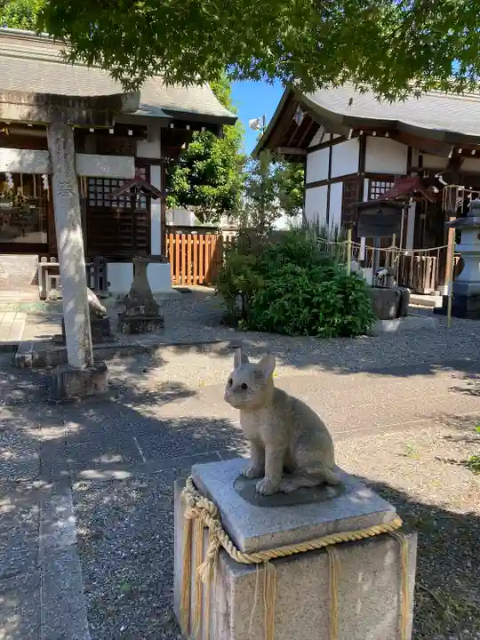 阿豆佐味天神社 立川水天宮(東京都)