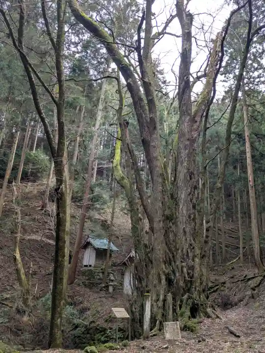 井戸神社の{uncategorized: "未分類", other: "その他", undefined: "問題あり", building: "その他建物", grave: "お墓", sacred_gate: "鳥居", guardian: "狛犬", statue: "像", buddha: "仏像", history: "歴史", nature: "自然", garden: "庭園", animal: "動物", pagoda: "塔", temizu: "手水舎", mountain_gate: "山門・神門", sanctuary: "本殿・本堂", subordinate: "末社・摂社", art: "芸術", scenery: "景色", jizo: "地蔵", ema: "絵馬", goshuin: "御朱印", omikuji: "おみくじ", items: "授与品その他", amulet: "お守り", goshuincho: "御朱印帳", eats: "食事", festival: "お祭り", votive_dance: "神楽", shichigosan: "七五三参", wedding: "結婚式", experience: "体験その他", initially: "初詣", around: "周辺", anti_infection: "感染症対策"}