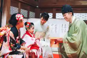 守りの神 藤基神社の七五三参(2025年09月21日(日) 10時54分47秒投稿)
