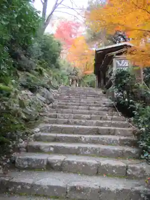 大悲閣千光寺(京都府)