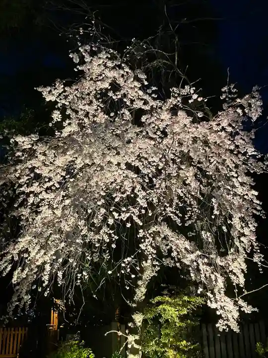 阿佐ヶ谷神明宮(東京都)