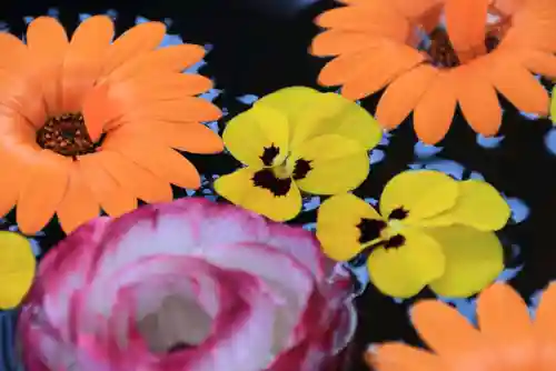 大鏑神社の手水舎