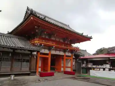 紀州東照宮(和歌山県)