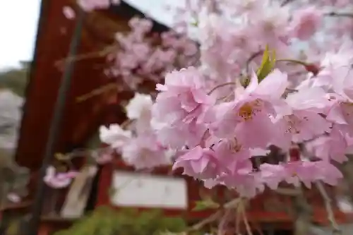 談山神社の自然