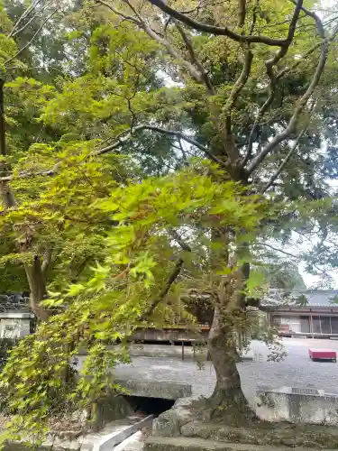 高鴨神社(奈良県)