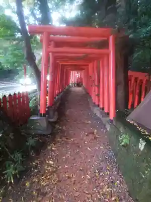 廣坂稲荷神社の鳥居