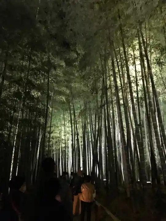 高台寺(高台寿聖禅寺・高臺寺)(京都府)