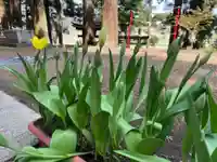 大宮温泉神社の自然