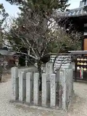 菅原天満宮（菅原神社）(奈良県)