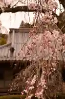 法蓮寺(愛媛県)