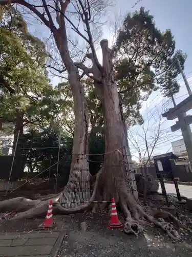 倉見神社(神奈川県)