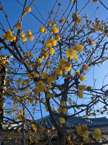 浄誓寺の{uncategorized: "未分類", other: "その他", undefined: "問題あり", building: "その他建物", grave: "お墓", sacred_gate: "鳥居", guardian: "狛犬", statue: "像", buddha: "仏像", history: "歴史", nature: "自然", garden: "庭園", animal: "動物", pagoda: "塔", temizu: "手水舎", mountain_gate: "山門・神門", sanctuary: "本殿・本堂", subordinate: "末社・摂社", art: "芸術", scenery: "景色", jizo: "地蔵", ema: "絵馬", goshuin: "御朱印", omikuji: "おみくじ", items: "授与品その他", amulet: "お守り", goshuincho: "御朱印帳", eats: "食事", festival: "お祭り", votive_dance: "神楽", shichigosan: "七五三参", wedding: "結婚式", experience: "体験その他", initially: "初詣", around: "周辺", anti_infection: "感染症対策"}