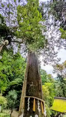 由岐神社(京都府)