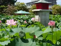 白山神社(新潟県)