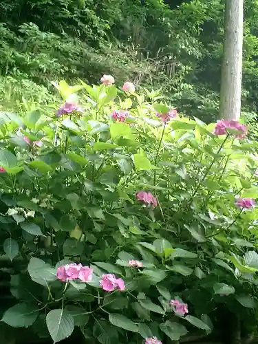 御霊神社の自然