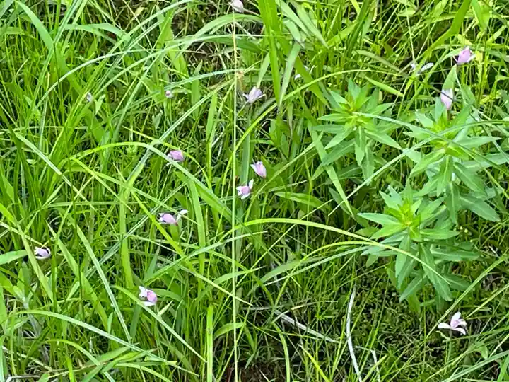 龍泉寺(岡山県)
