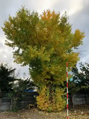 仁玄寺の庭園