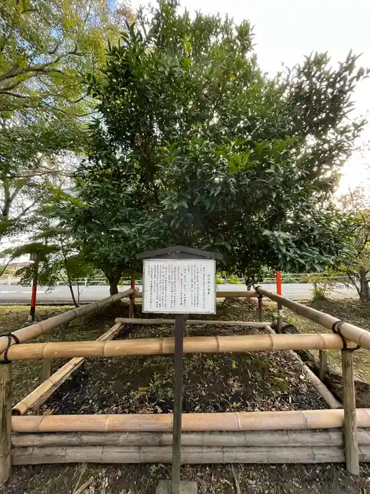 梅宮神社(滋賀県)
