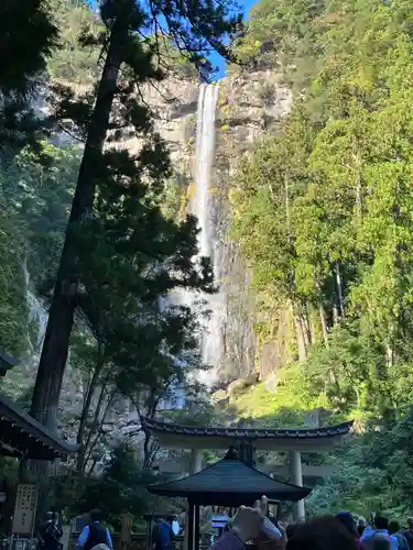 飛瀧神社（熊野那智大社別宮）(和歌山県)